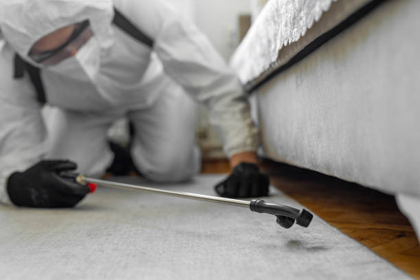 Professional Mosquito Control technician working in North College Hill, OH