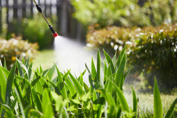 24/7 Emergency Mosquito Control experts in North College Hill, OH