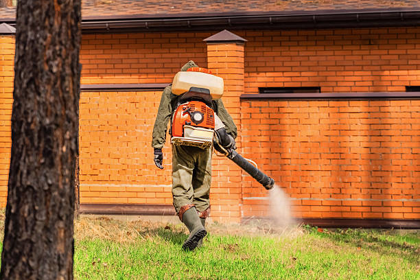 Trusted Rodent Control service in North College Hill, OH - Nex Pest Control